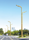 60w Led Street Light Pole Mount 6000LM 220V-240V 481 Lens Dark Grey Urban Semi Integrated